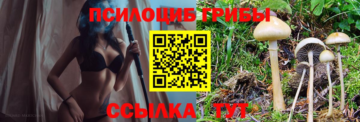 Шебекино  Галлюциногенные грибы Cubensis  магазин  наркотиков  Вход с VPN  Псилоцибиновые грибы Psilocybe 